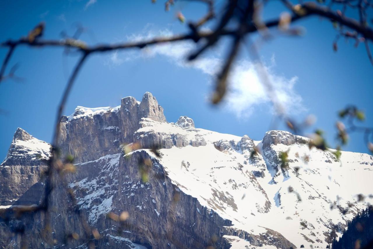 Hotel Alpina Kandersteg Bagian luar foto